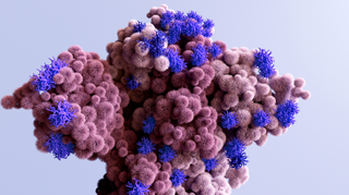 Proteina Spike: Cos’è, Effetti sull’Organismo