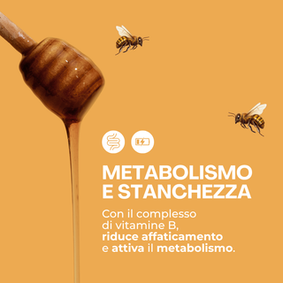 Vida - Energia e Vitalità