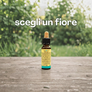 Fiore di Bach singolo