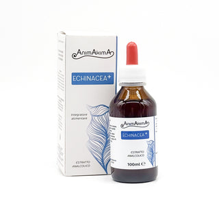 Echinacea +