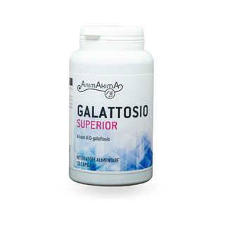 Galattosio Superior