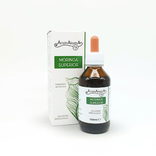 Moringa Superior Tintura