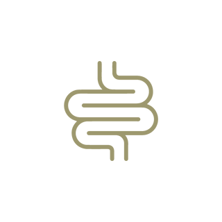 Ripara Intestino