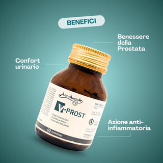 V-Prost | Frajese