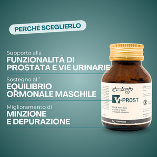 V-Prost | Frajese