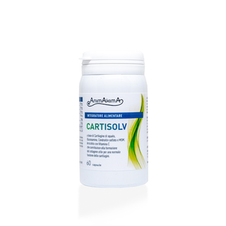 Cartisolv