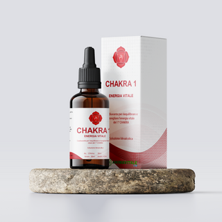 Chakra 1 - Energia Vitale | EV Lab