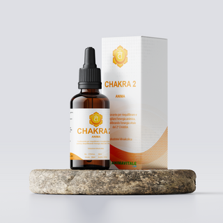 Chakra 2 - Anima | EV Lab