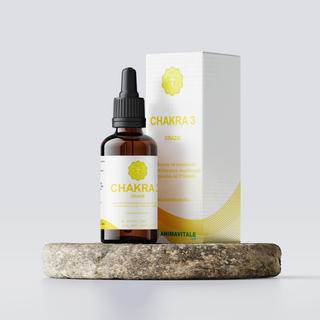 Chakra 3 - Grazie| EV Lab