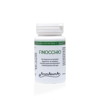 Finocchio