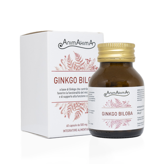 Ginkgo Biloba