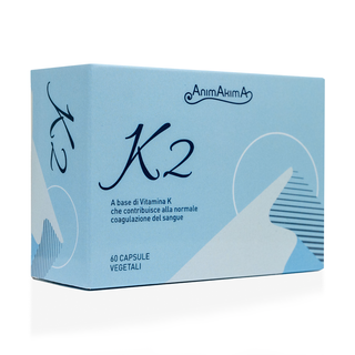 K2