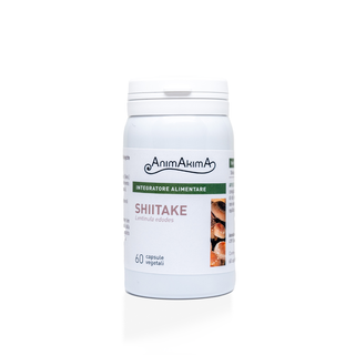 Shiitake