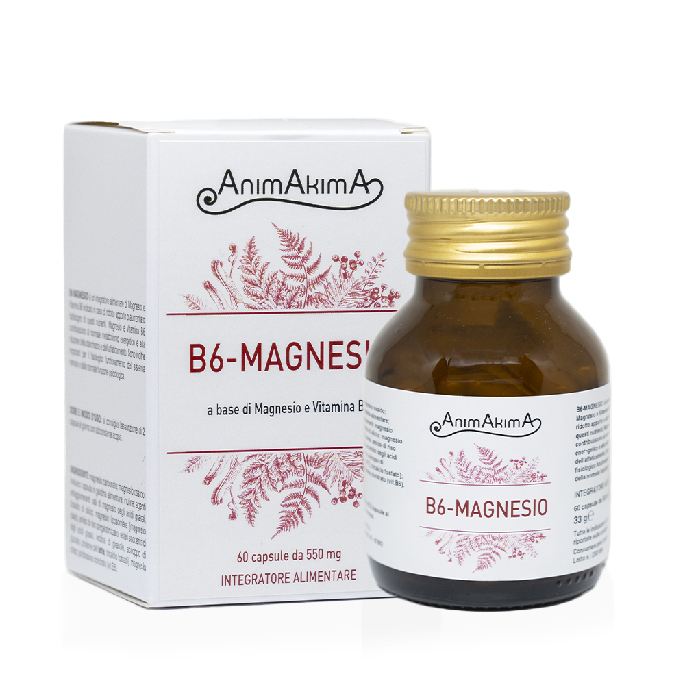 B6 Magnesio